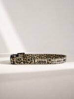 Coleira para gato com nome personalizado para identificação | Coleira Gato Anti enforcamento Com Nome- Onça