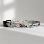 Coleira para gato com nome personalizado para identificação | Coleira Gato Anti enforcamento Com Nome-  Primavera