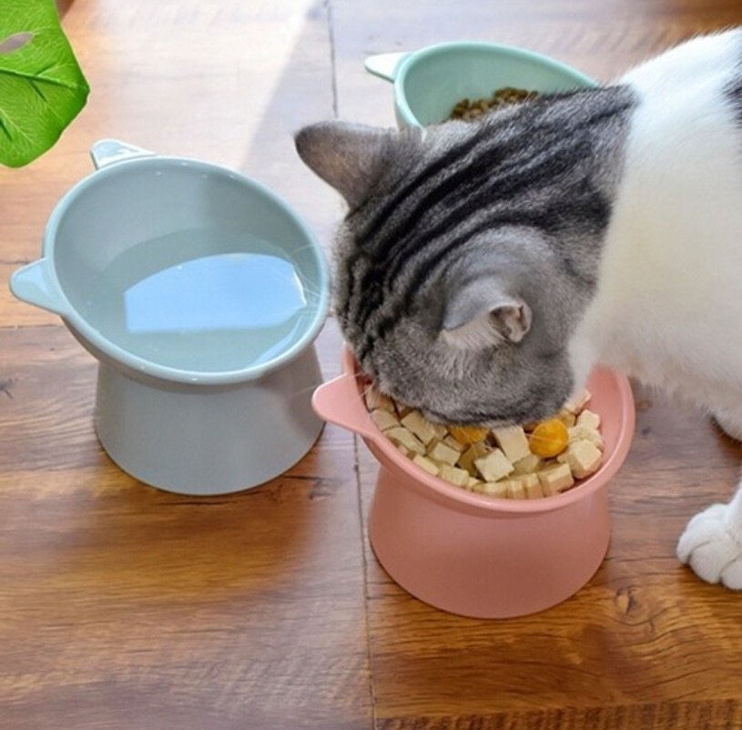 505141182 18499717441012155 8400167081138929702 n