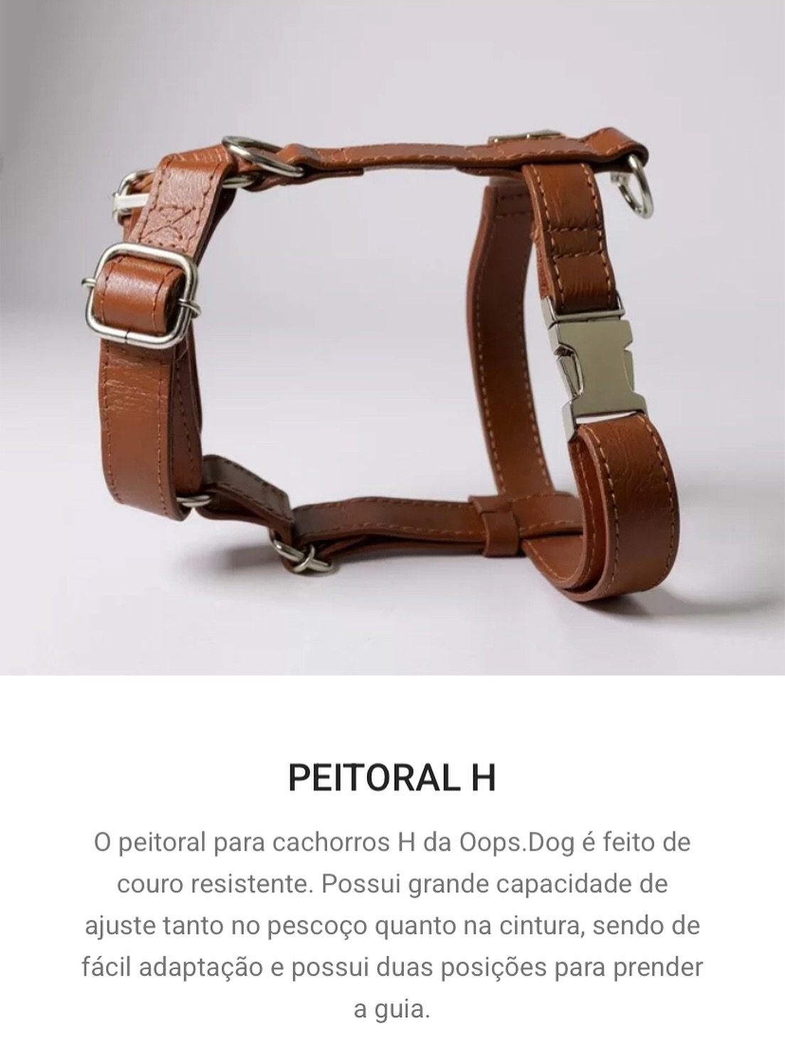 Coleira de Gato Anti Enforcamento Breakaway c/ Identificação nome e telefone Oops! Cat 23 541324345 18514015417012155 7377034681163736795 n