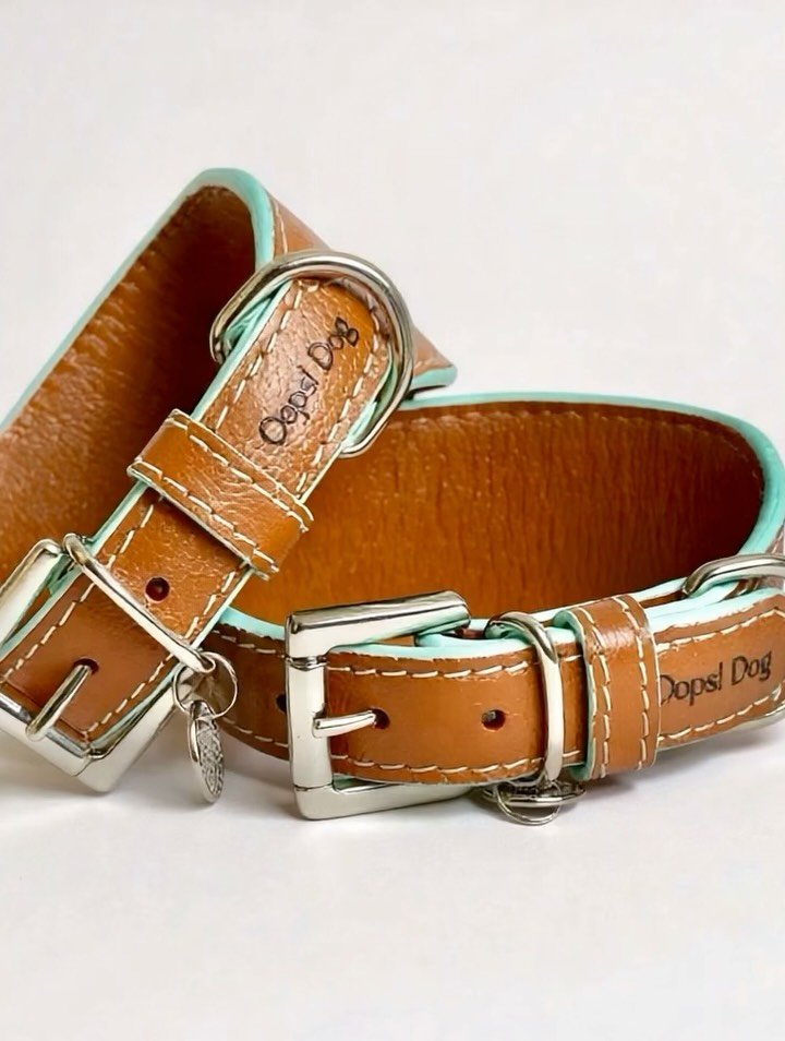 Coleira de Gato Anti Enforcamento Breakaway c/ Identificação nome e telefone Oops! Cat 22 575290496 18529266562012155 9007876183709631566 n