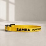 Coleira para gato com nome personalizado para identificação | Coleira Gato Anti enforcamento Com Nome- gema