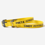Coleira para gato com nome personalizado para identificação | Coleira Gato Anti enforcamento Com Nome- gema