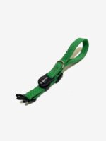 Coleira para Gatos Breakaway Anti-Enforcamento couro verde cobra - Imagem 2