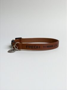 Coleira personalizada de couro para gatos Coffee - Imagem 3