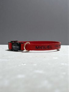 Coleira personalizada de couro para gatos vermelha - Imagem 3