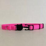 Coleira Para Gato Elástica Com Fecho Anti Enforcamento Rosa neon