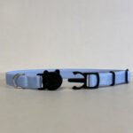 Coleira Para Gato Elástica Com Fecho Anti Enforcamento Azul