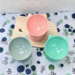 Comedouro e Bebedouro para Gatos Elevado e Ergonômico Aqua - Imagem 2