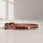 Coleira para gato com nome personalizado para identificação | Coleira Gato Anti enforcamento Com Nome- Cappuccino