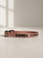 Coleira para gato com nome personalizado para identificação | Coleira Gato Anti enforcamento Com Nome- Cappuccino