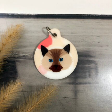 Plaquinha de identificação para gatos