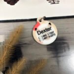 Plaquinha de identificação para gatos