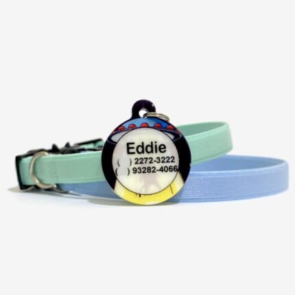 Plaquinha identificação gato