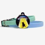 Plaquinha identificação gato