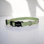 Coleira para gato anti-enforcamento personalizada- YellowGreen Oops! Cat - Imagem 3