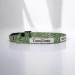 Coleira para gato anti-enforcamento personalizada- LimeGreen Oops! Cat