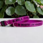 Coleira elástica para gato anti enforcamento com nome personalizado para identificação - Imagem 3