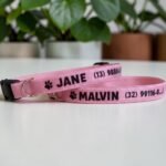 Coleira elástica para gato anti enforcamento com nome personalizado para identificação - Imagem 6