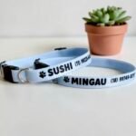 Coleira elástica para gato anti enforcamento com nome personalizado para identificação - Imagem 5