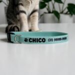 Coleira elástica para gato anti enforcamento com nome personalizado para identificação - Imagem 4
