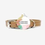 Tag de identificação pet ref4 - Imagem 2