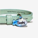 Plaquinha de identificação para gato